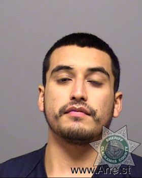 Efren  Martinezmenchaca Mugshot