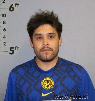 Efren  Mendoza-pineda Mugshot