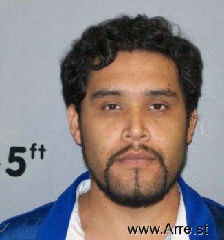 Efren  Mendoza-pineda Mugshot