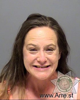 Elizabeth Ann Elkins Mugshot