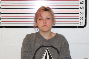 Elizabeth Lynne Healy Mugshot