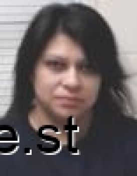 Elizabeth Jeanet Vega Mugshot