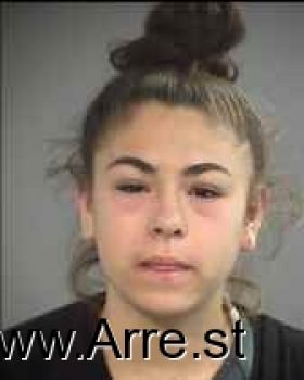 Erica Lee Hutchinson Mugshot