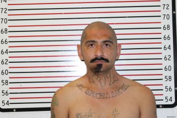 Francisco Levi Hernandez Mugshot