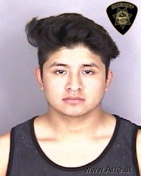 Guadalupe  Mendoza Ahilon Mugshot