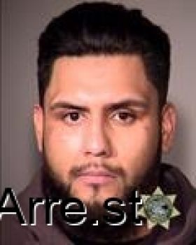 Gerardo Avila Avilavergara Mugshot