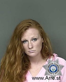 Heather Leann Johnson Mugshot