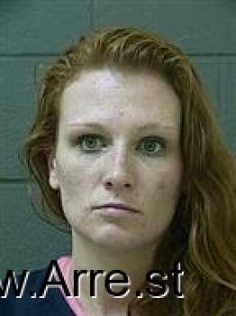 Heather Leann Johnson Mugshot