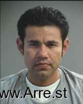 Hector  Sanchez-navarro Mugshot