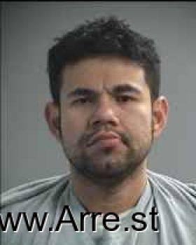 Hector  Sanchez-navarro Mugshot