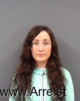 Heidi Suzanne Young Mugshot