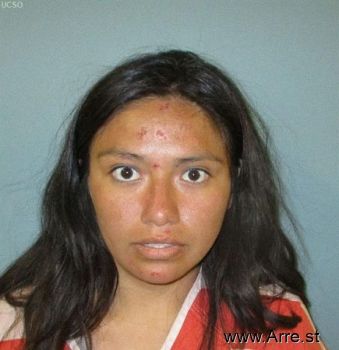 Irma Taeyana Bako Mugshot