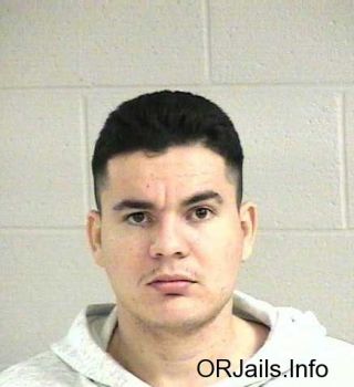 Jose  Romero-valenzuela Mugshot