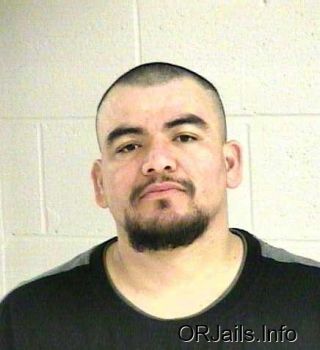 Julio  Mejia-velasco Mugshot