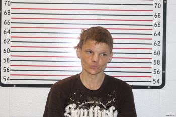 Jessica Kristi Chambers Mugshot