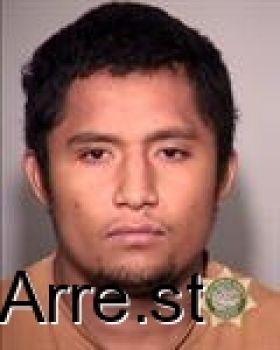 Jose Luis Mejia Mugshot