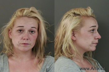 Krista Lou Fisher Mugshot