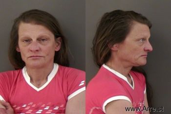 Kristin Hillary Schmidt Mugshot