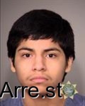 Leonardo  Martinezchavez Mugshot