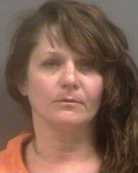 Leslie Lynn Dornbusch Mugshot