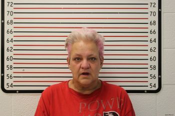 Lisa Marie Garrison Mugshot