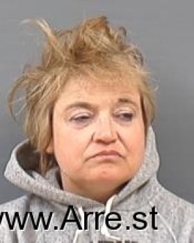 Lois Anne Hibbitts Mugshot