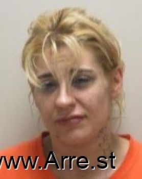 Lori Lee Johnson Mugshot