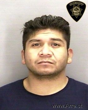 Mario  Hernandez-gonzalez Mugshot