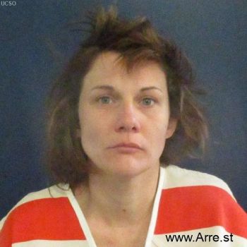 Michelle Lee Phillips Mugshot