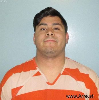 Miguel Angel Penaloza Torrecilla Mugshot