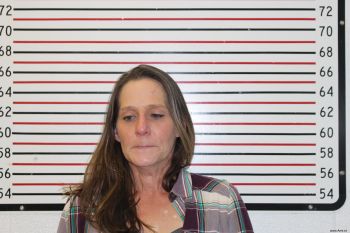 Melinda D Harrison Mugshot