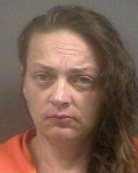 Michelle Renee Trelstad Mugshot