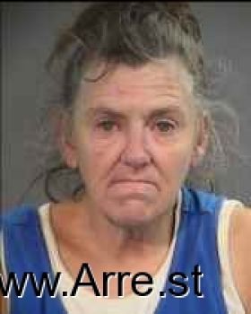 Nancy Louise Olson Mugshot