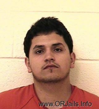 Pedro Carlos Alvarez  Jr Mugshot