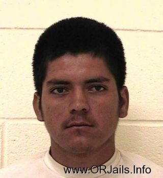 Ricardo Elizabeth Contreras Solano Mugshot