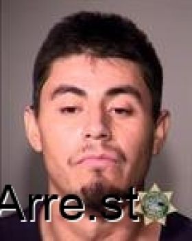 Ricardo Arody Torreszepeda Mugshot