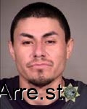 Ricardo  Torreszepeda Mugshot