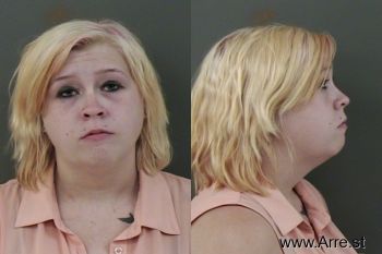 Sarah Lee Clark Mugshot