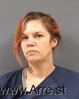 Stephani Ann Sherva Mugshot