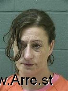 Summer Ann Heebink Mugshot