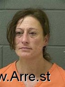 Summer Ann Heebink Mugshot