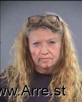 Susanna Lynne Wyatt Mugshot