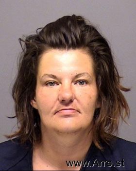 Tami Alice Anderson Mugshot