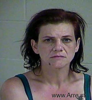 Tara Lynn Anderson Mugshot