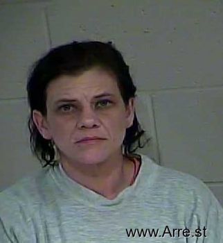 Tara Lynn Anderson Mugshot