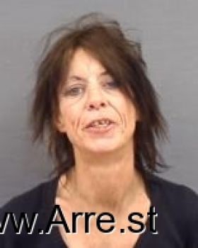 Terri Lynn Green Mugshot