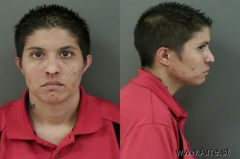 Tiffany  Beyer Mugshot