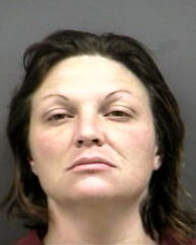 Tonya Marie Schriver Mugshot