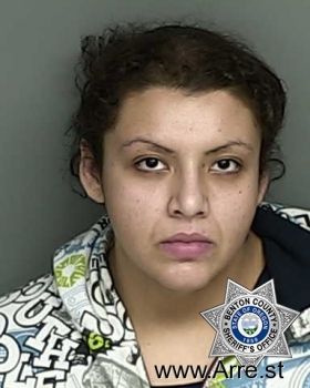 Vanessa  Chavez Mugshot