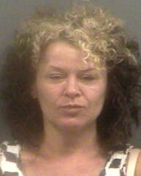 Vicki Sharon Phillips Mugshot